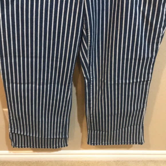 NWT CHAPS Mid-Rise Crop Kick Zip Front Striped Jeans-Size 10/30/Inseam 26 - Picture 4 of 11